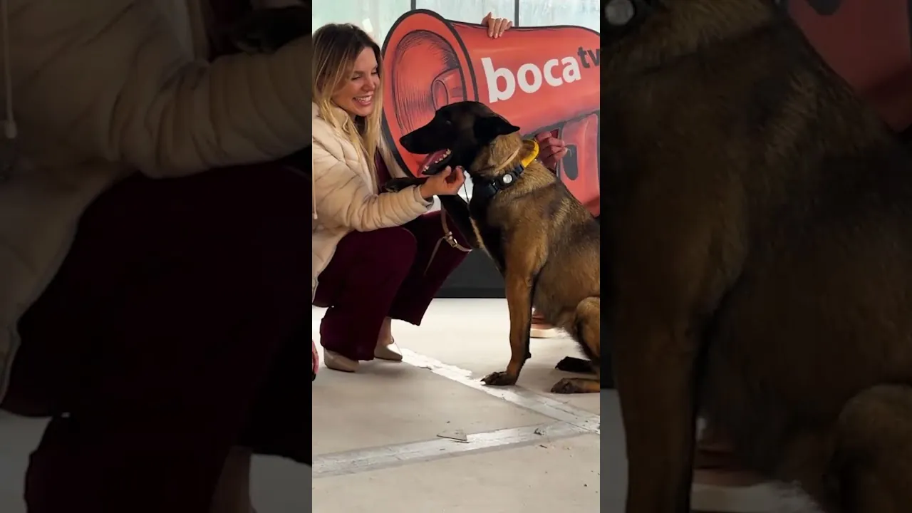 New Show 'Bicho Solto' Launches on BocaTV for Pet Lovers